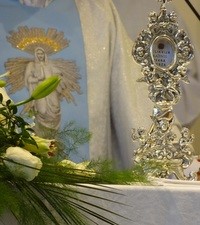 Završena Godina bl. Ivana Merza u župi u Trnovčici